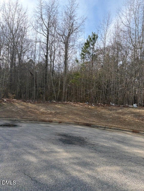 206 Hope Street, Erwin, NC 28339