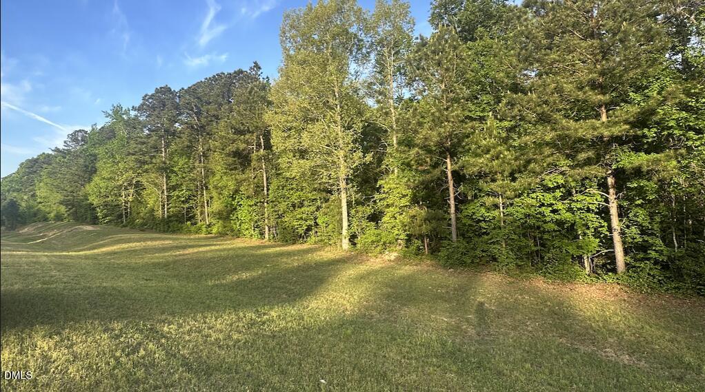 0 L Cooper Road, Cameron, NC 28326