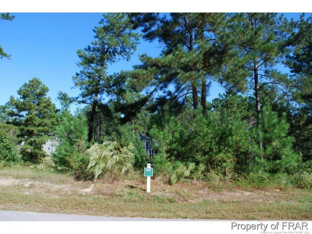 152 Broadlake (635) Lane, Spring Lake, NC 28390