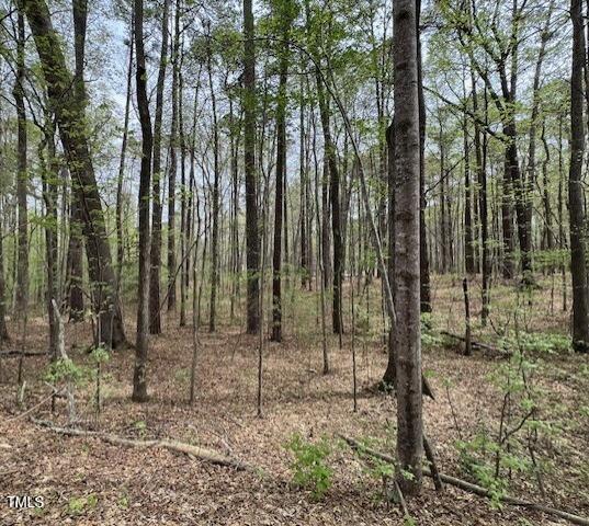 0 Lot 336 Forest Hills Drive, Littleton, NC 27850