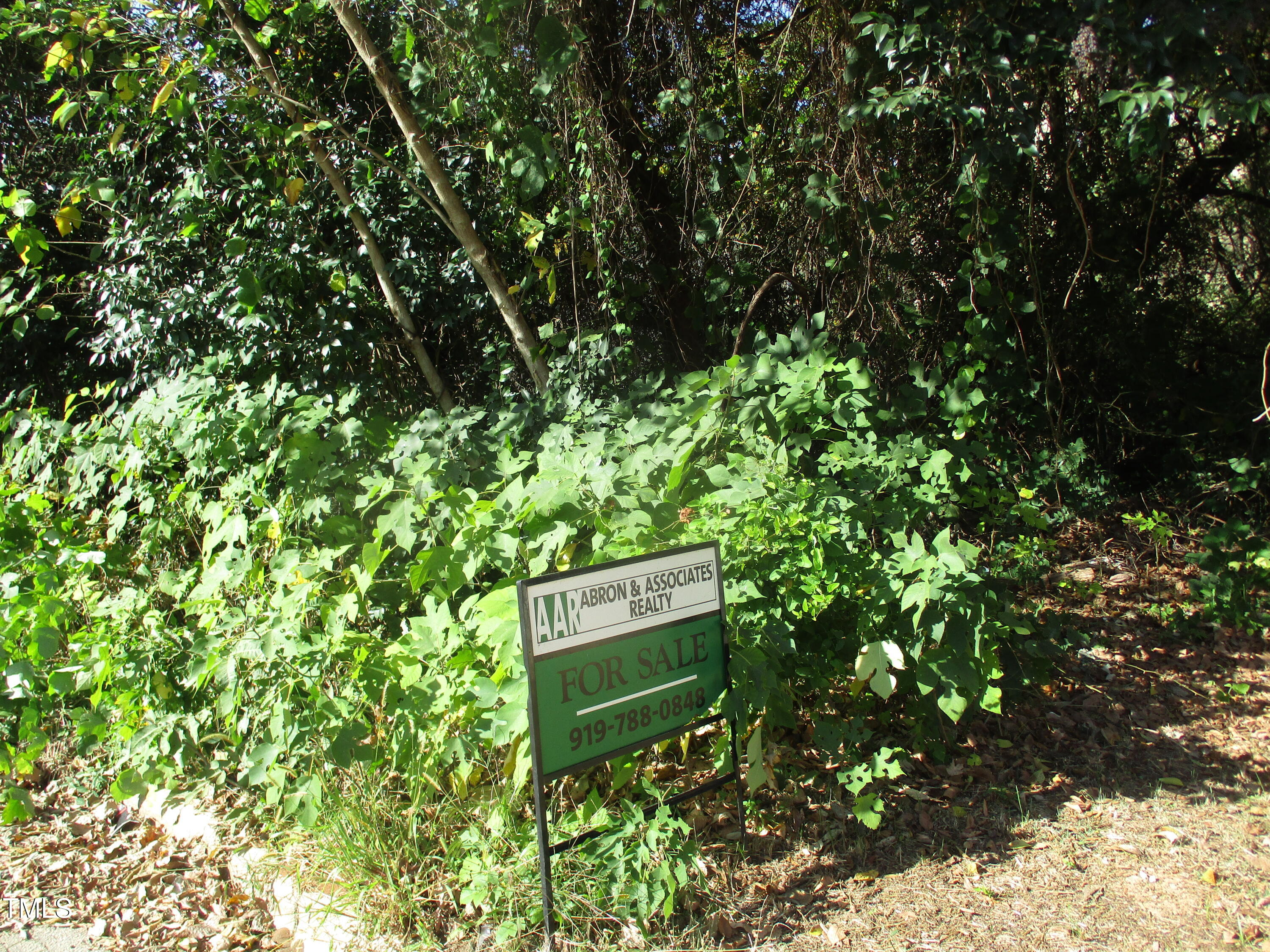 541 Bragg Street, Raleigh, NC 27610