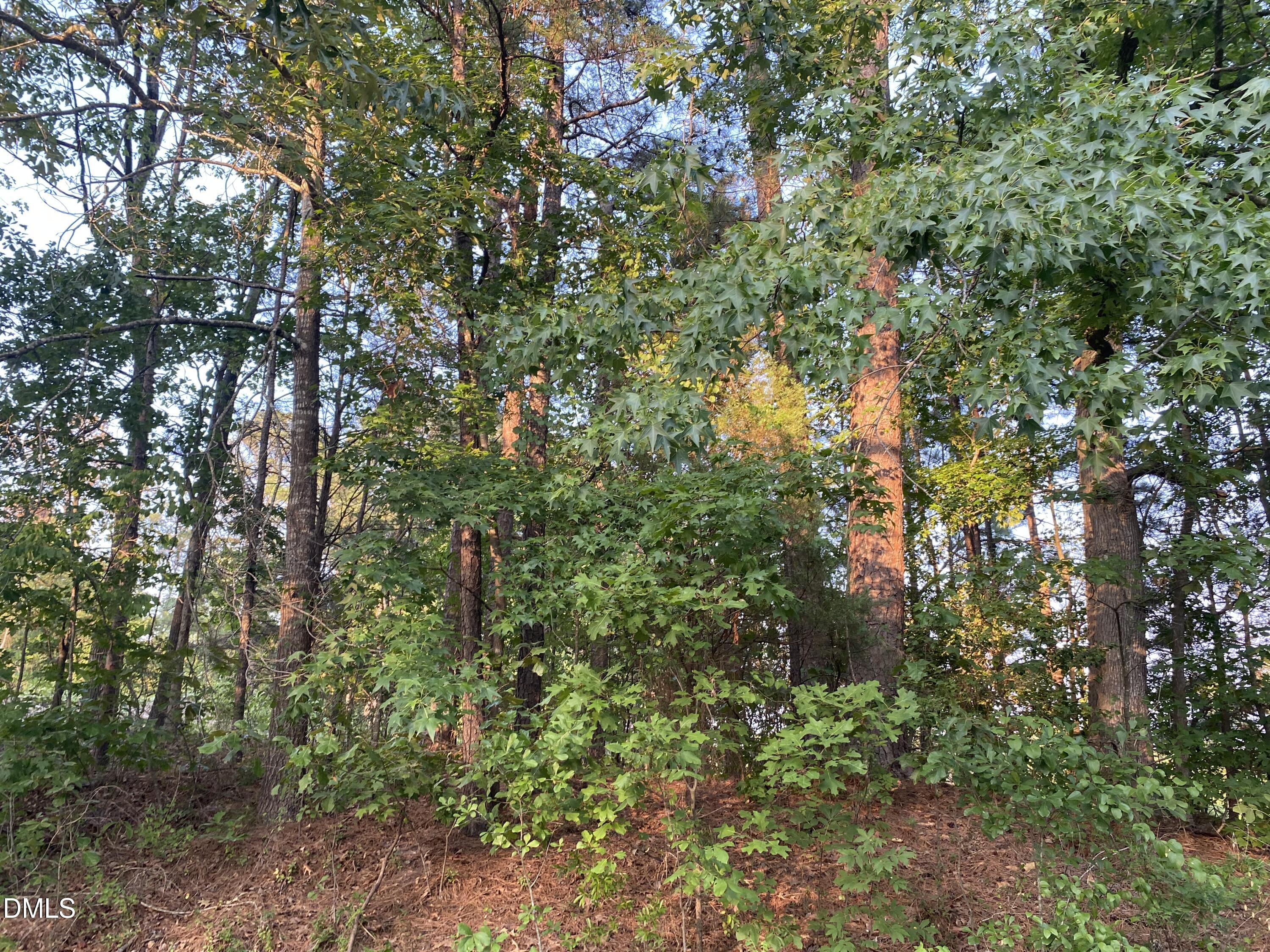 2417 Holiday Drive, Raleigh, NC 27610