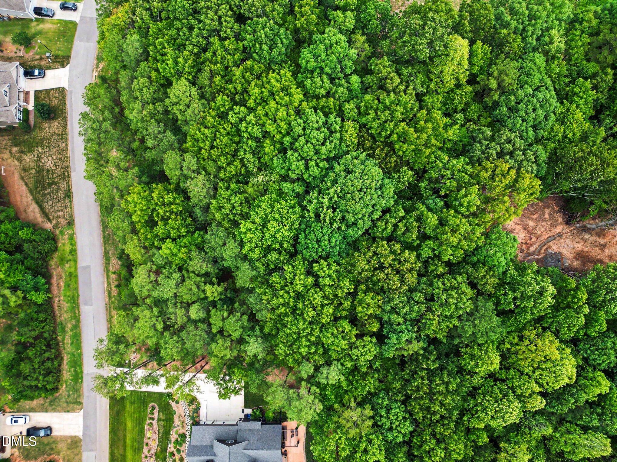 9004 Patmos Way, Wake Forest, NC 27587