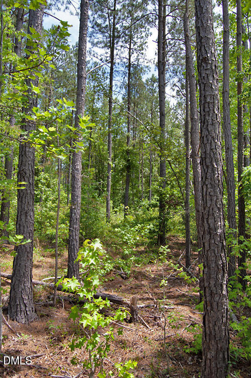 I G F Ball Road, Louisburg, NC 27549