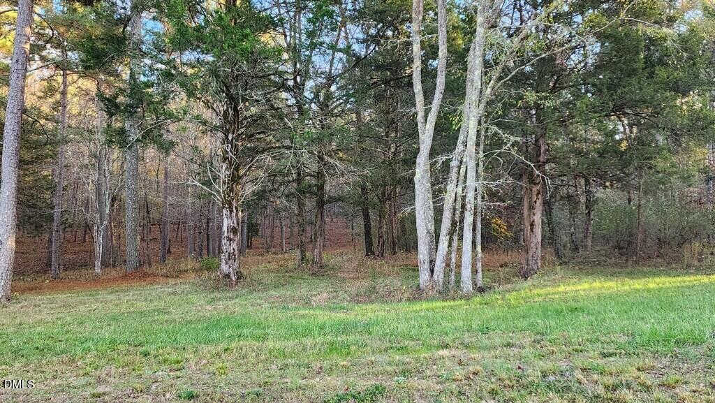 100 Brook Green Lane, Pittsboro, NC 27312
