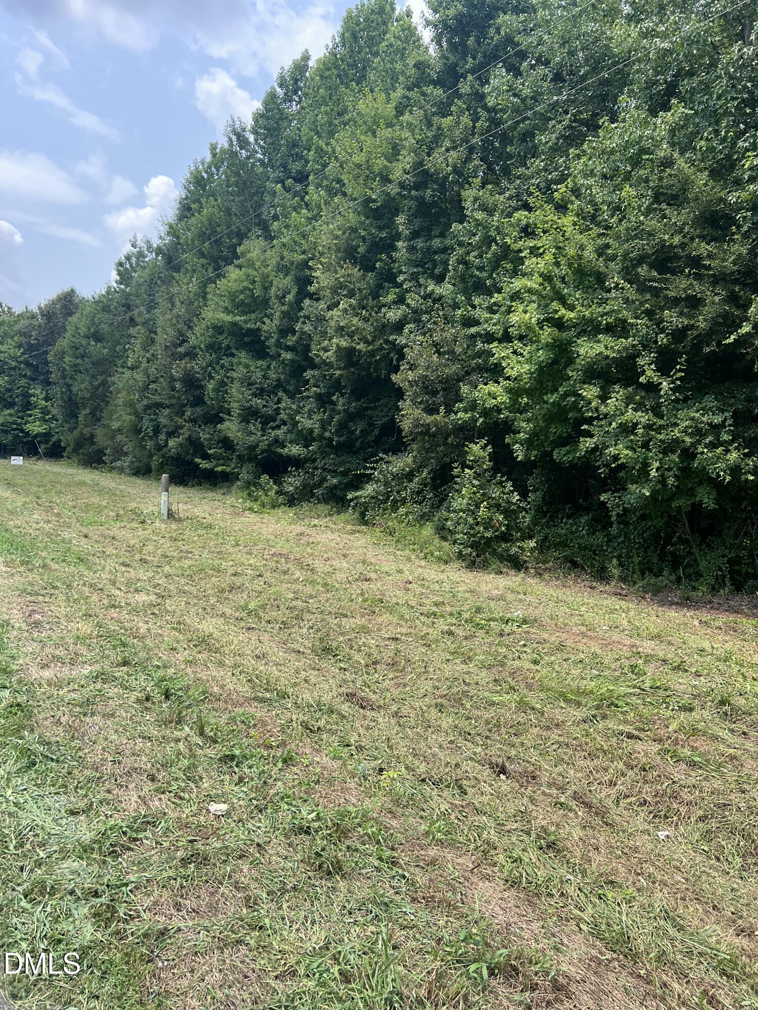 Lot 3 Elmer Moore Road, Siler City, NC 27344