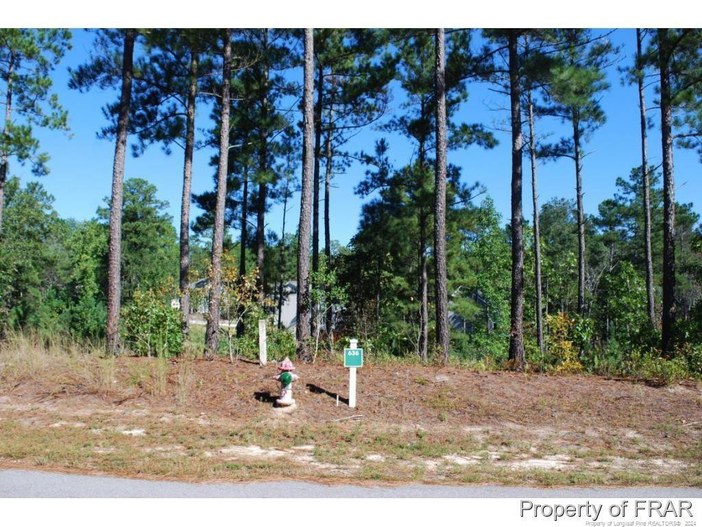 162 Broadlake (636) Lane, Spring Lake, NC 28390