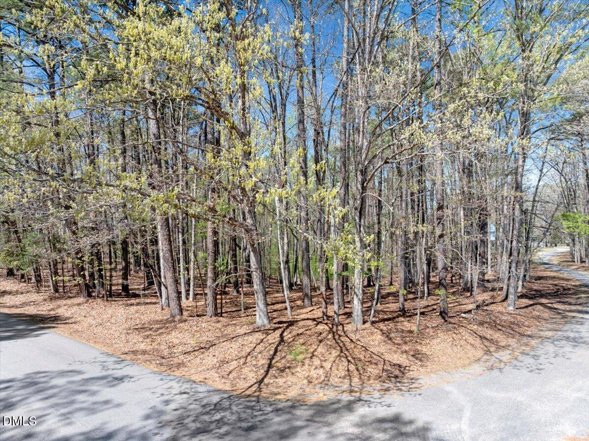 821 Lakepoint Drive, Clarksville, VA 23927