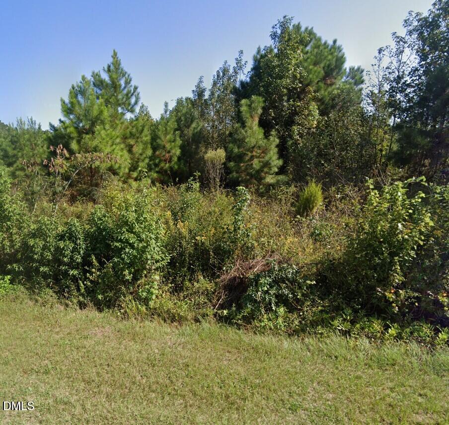 0 Darden Road, Faison, NC 28341