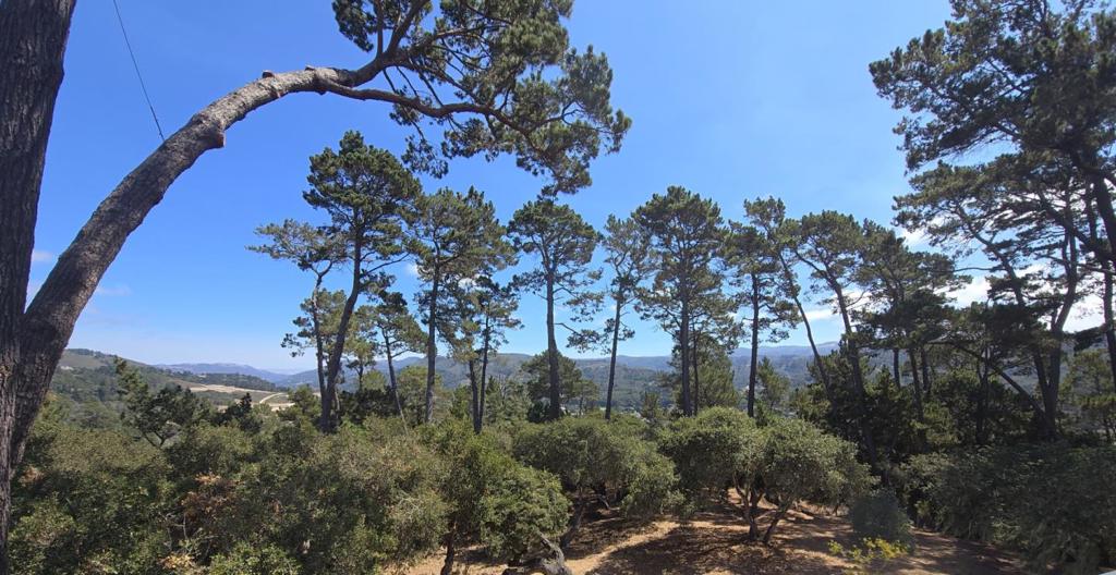 154 DEL MESA CARMEL