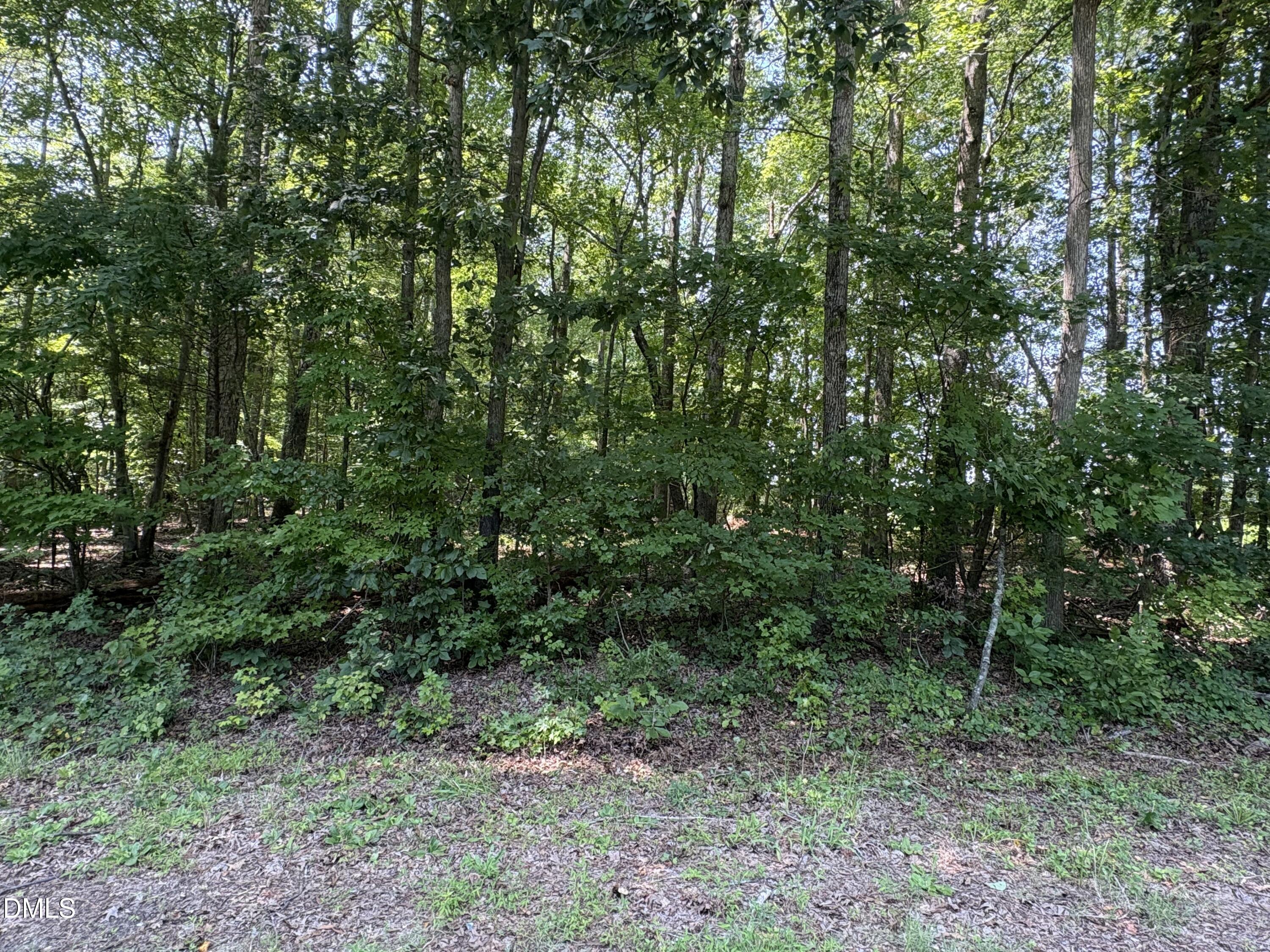 Lot 1 Sams Road, Mebane, NC 27302