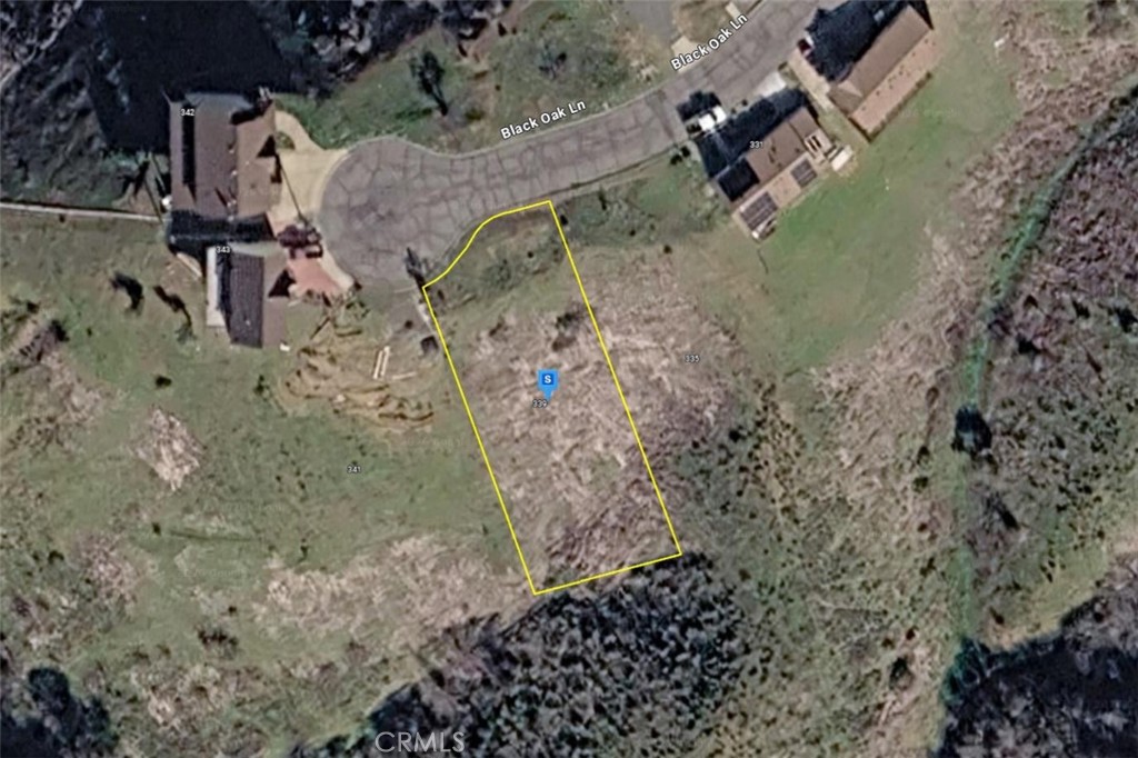 339 Black Oak Lane