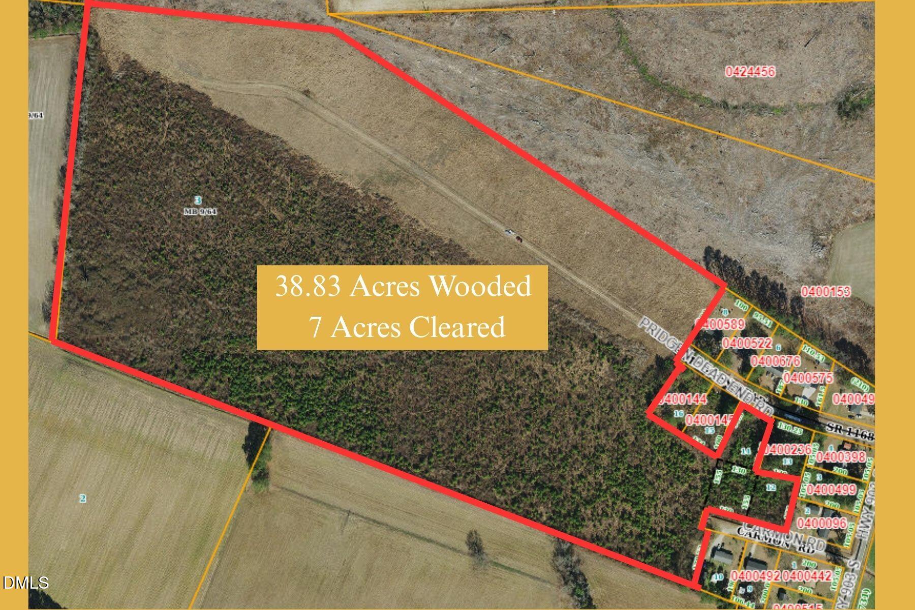 Tbd Pridgen Dead End Road, La Grange, NC 28551