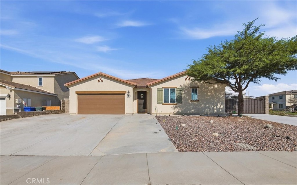 11565 Forsythia Street