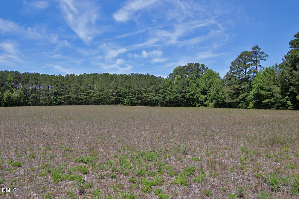 1 G F Ball Road, Louisburg, NC 27549