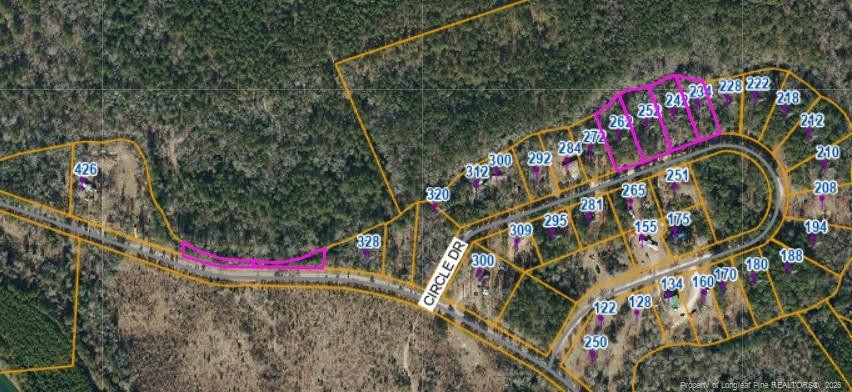 234 Circle Drive, Vass, NC 28394