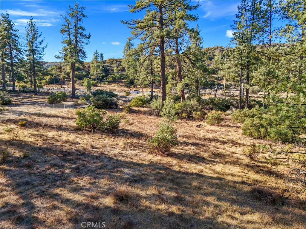 1 Pipe Creek Road