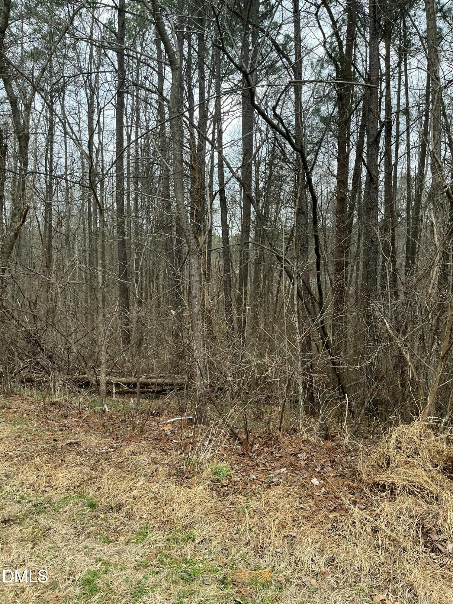 89 Lot Haynoke Drive, Graham, NC 27253