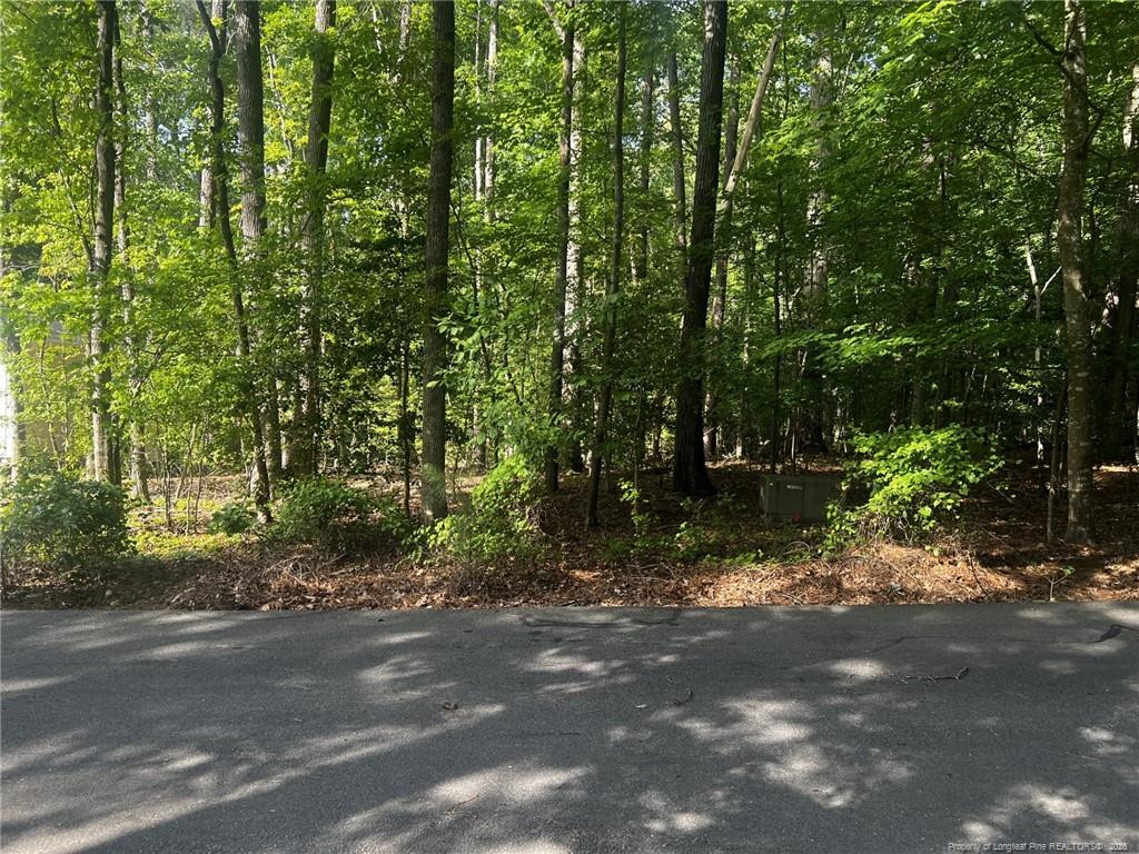 992 Whistling Wind, Sanford, NC 27332