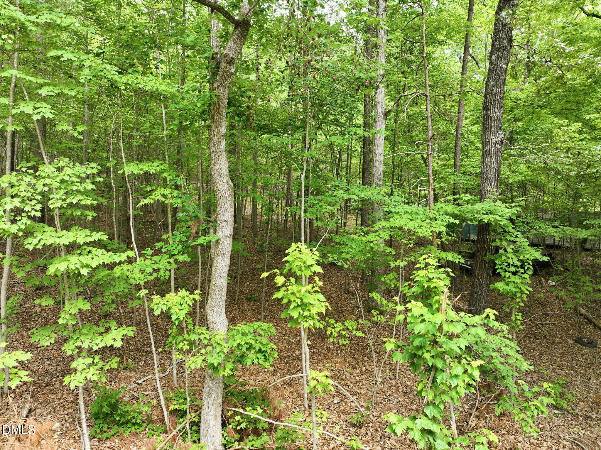 1841 Dots Drive, Hillsborough, NC 27278