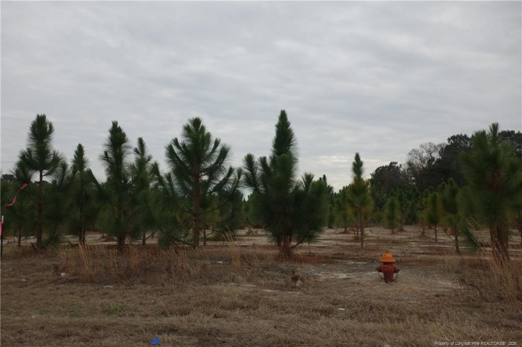 Lot 35 Stuarts Mill Road, Fairmont, NC 28340