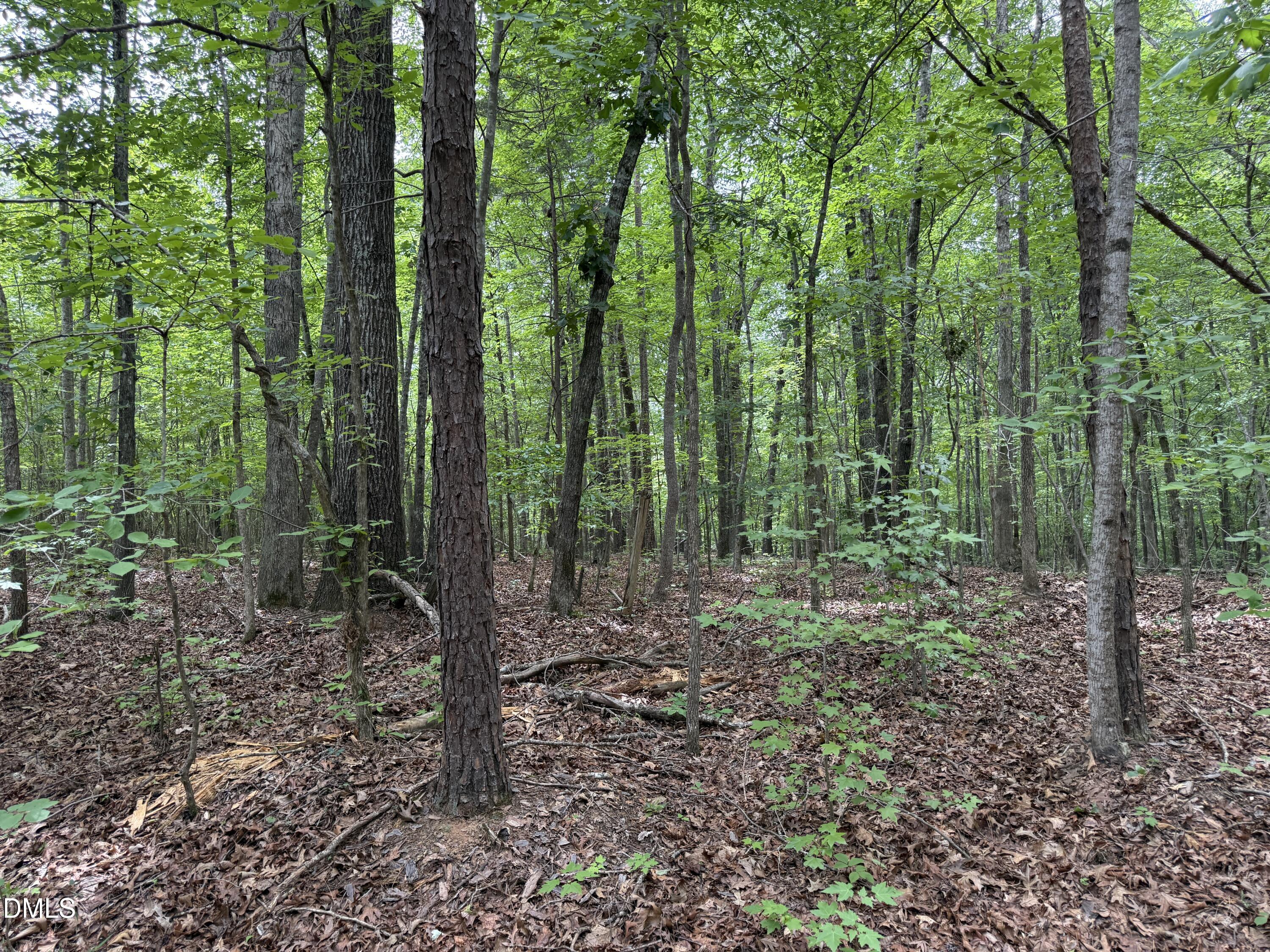 000 Herbert Faucette Road, Bullock, NC 27507