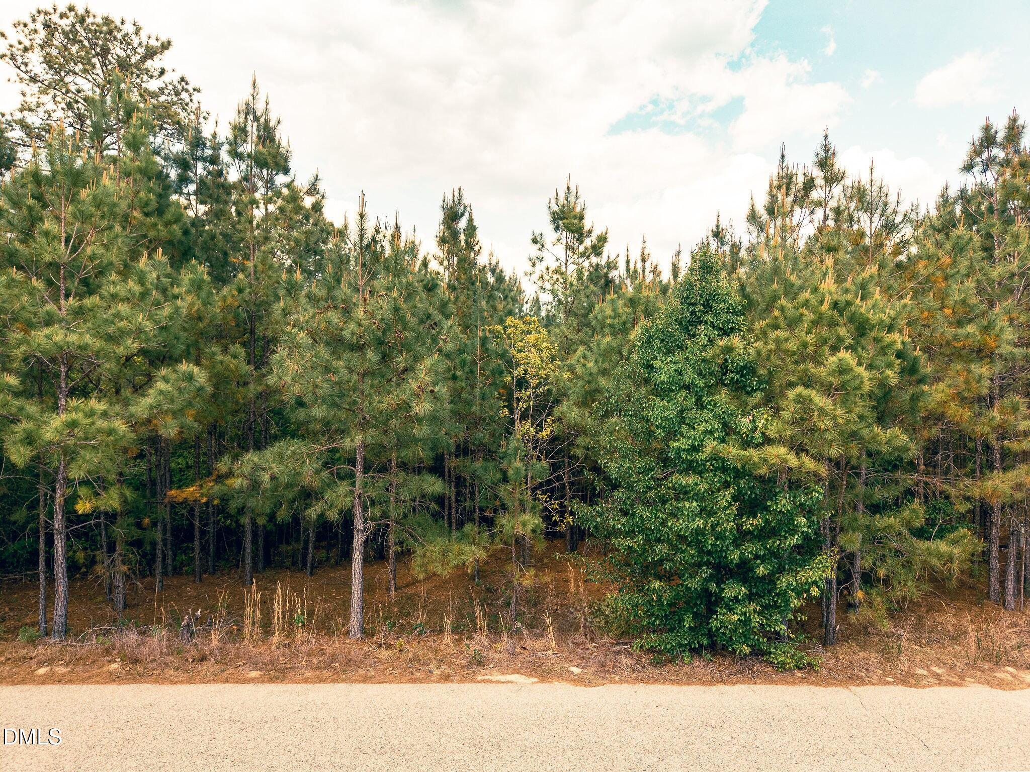 161 Appleton Way, Sanford, NC 27332