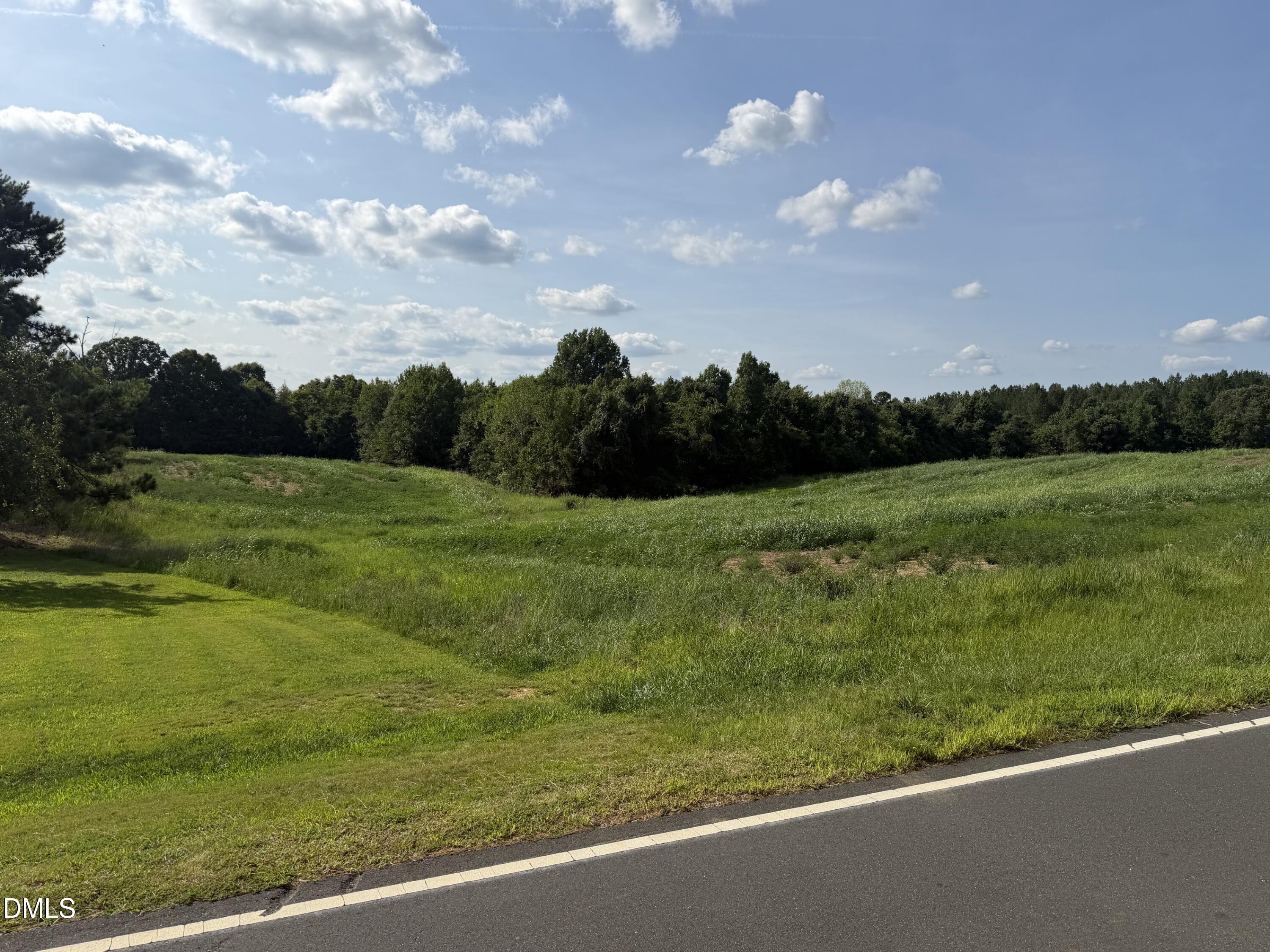 8585 Dirgie Mine Road, Roxboro, NC 27574