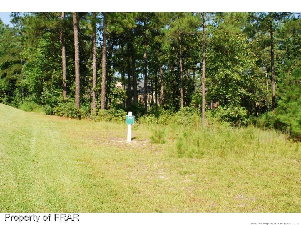 232 Broadlake (640) Lane, Spring Lake, NC 28390