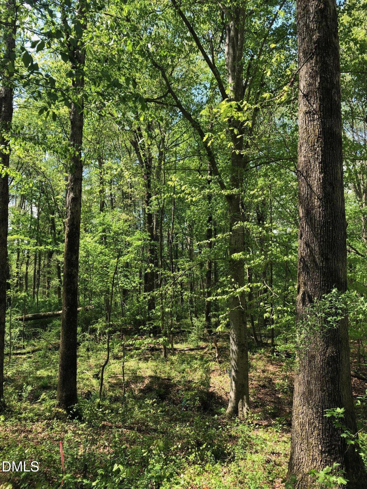 910 Nc-902, Pittsboro, NC 27312
