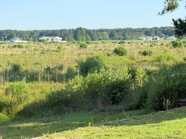 831 Castleberry Court, Vass, NC 28394