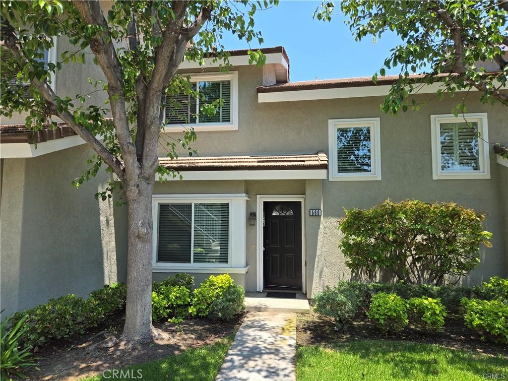 569 Springbrook N