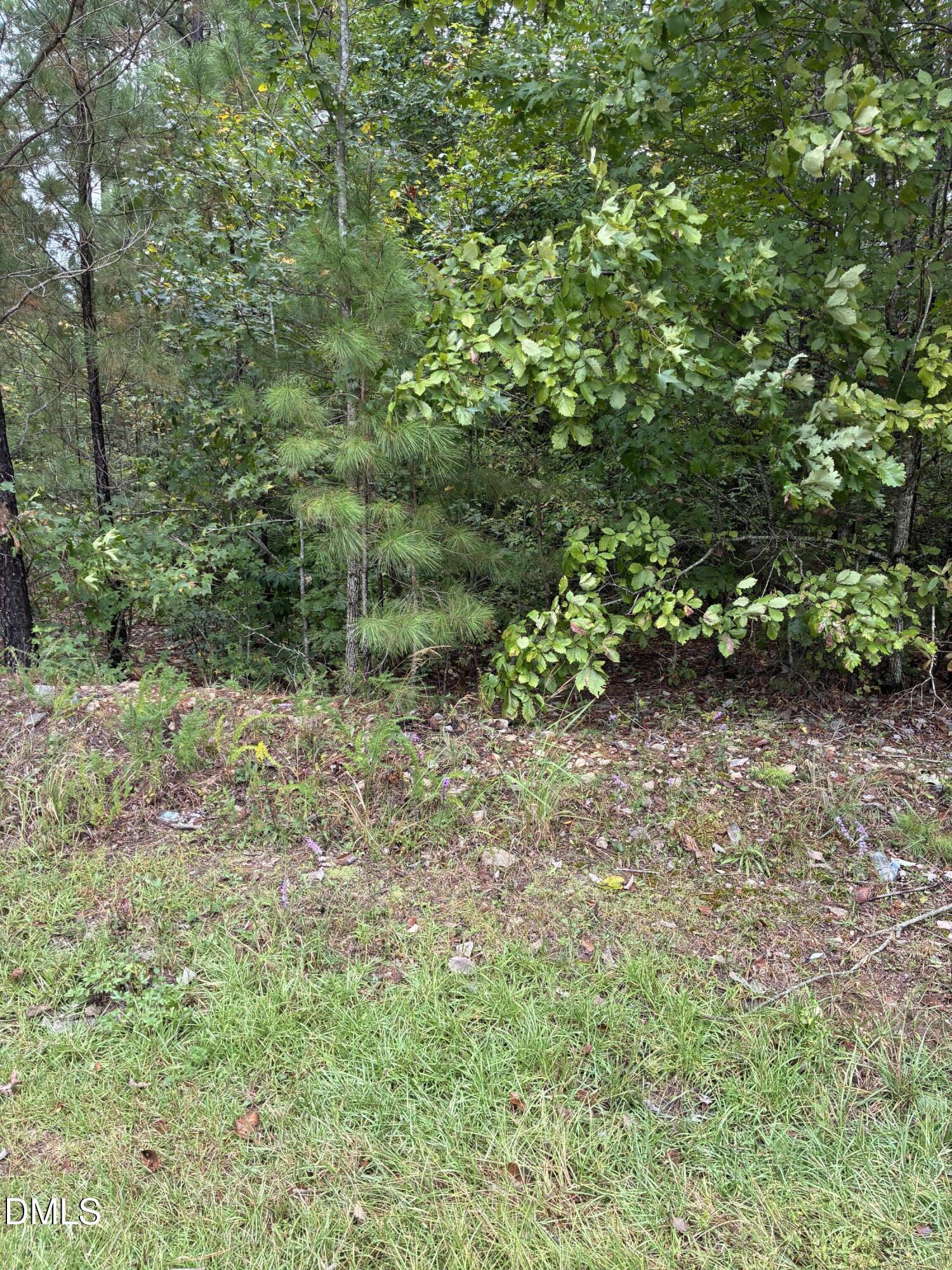 0 Gordon Moore Road, Franklinton, NC 27525