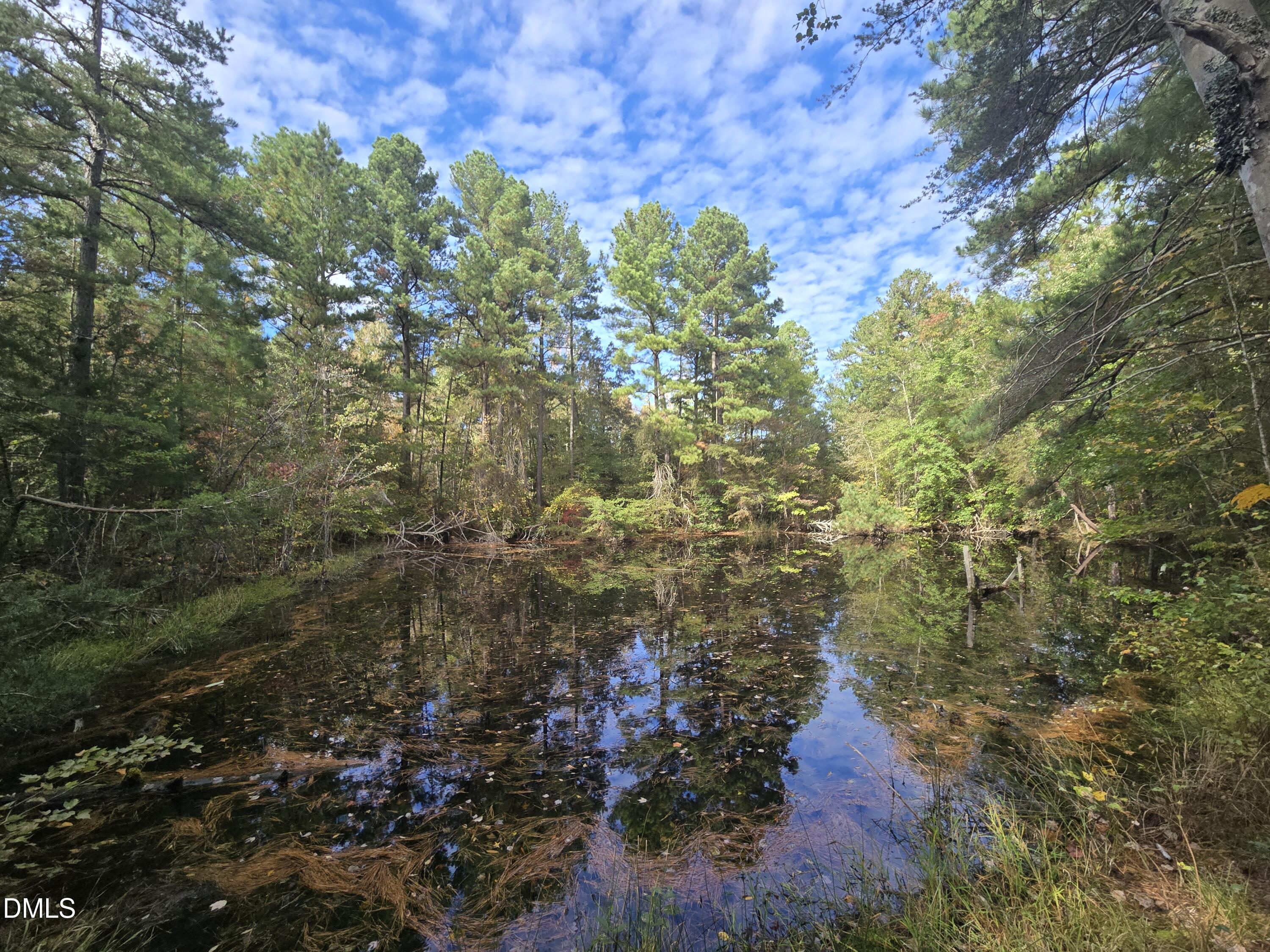 0 Bass Mountain, Snow Camp, NC 27349