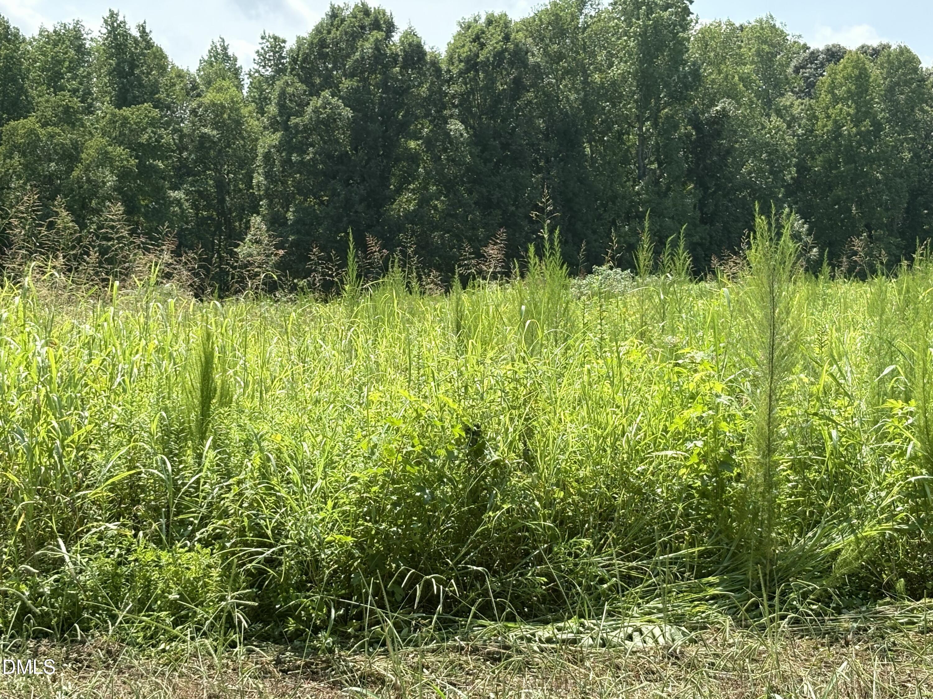 Lot 5 Oak Grove Church Road, Mebane, NC 27302