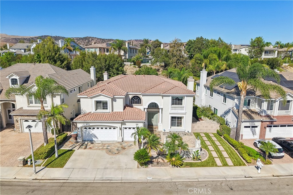17218 Blue Spruce