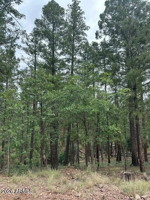 15 N BUTTERMILK Lane 52, Alpine, AZ 85920