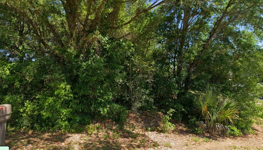 19801 FLAMINGO DRIVE