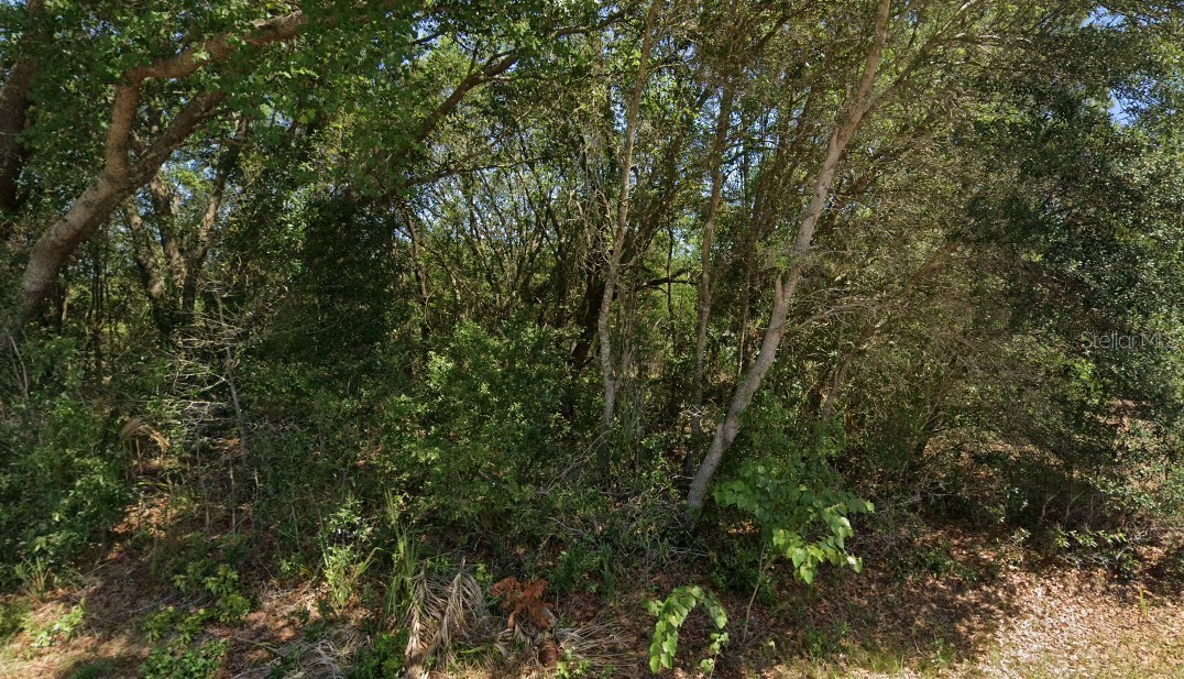 19901 FLAMINGO DRIVE