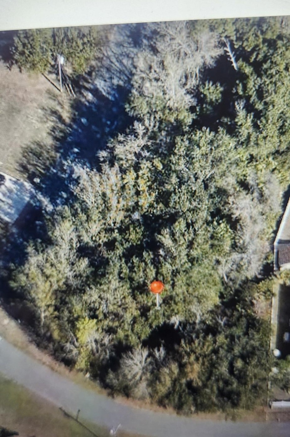 338 MEDINA CT