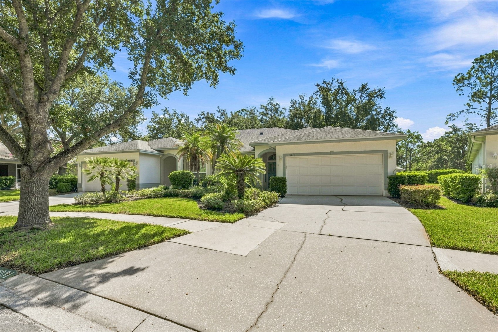 19031 CALLAWAY COURT
