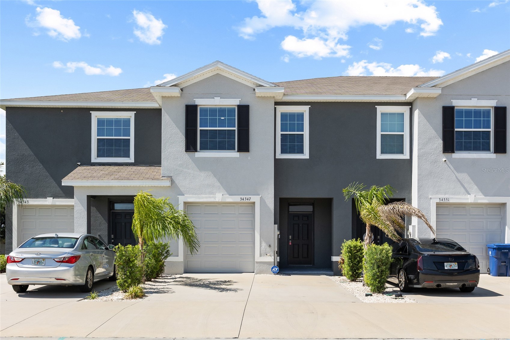 34347 SORREL MINT DRIVE