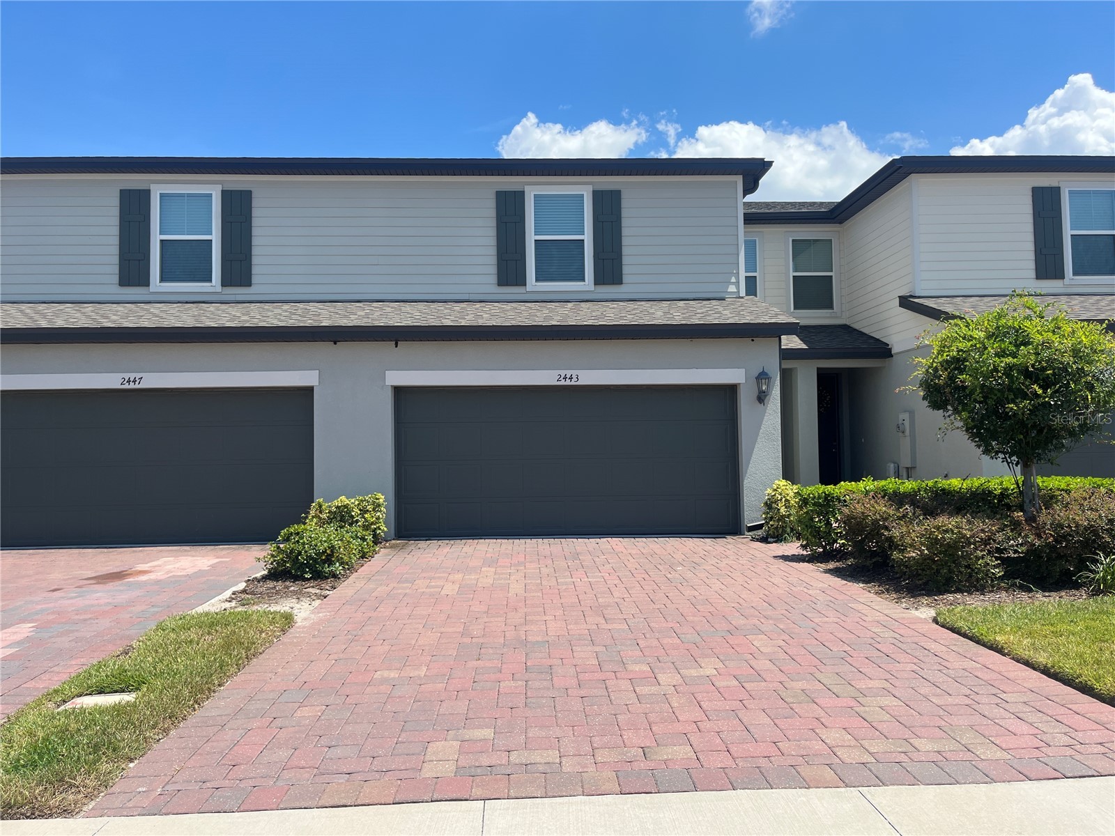 2443 SWEET VIBURNUM WAY