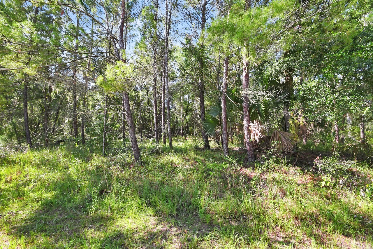1964 S FARM ROAD