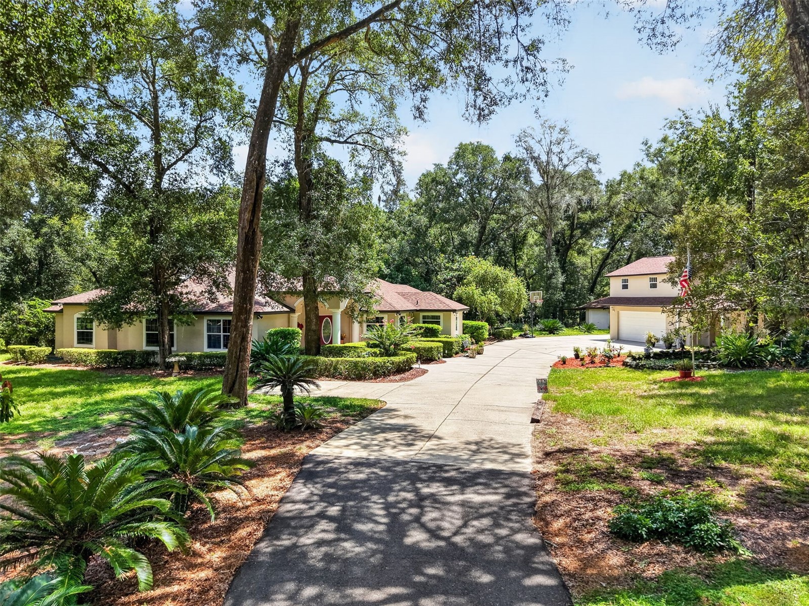 35350 COUNTY ROAD 439