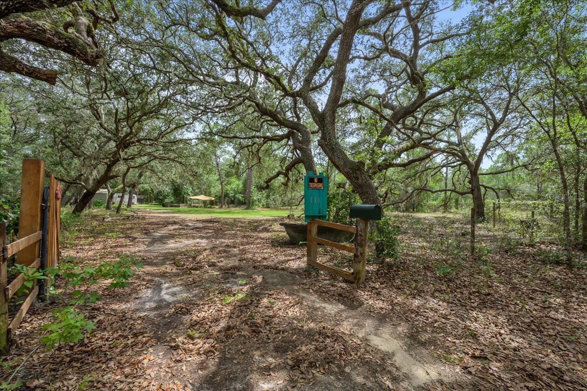 130 BUCKLES DRIVE