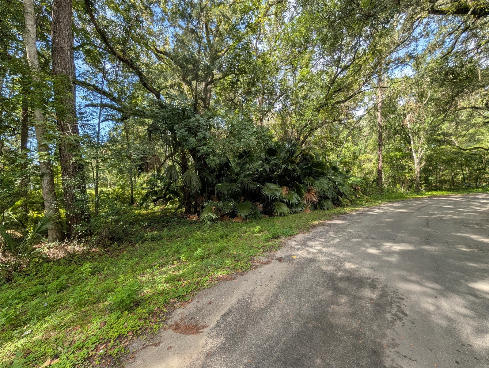 0 WILDWOOD DRIVE