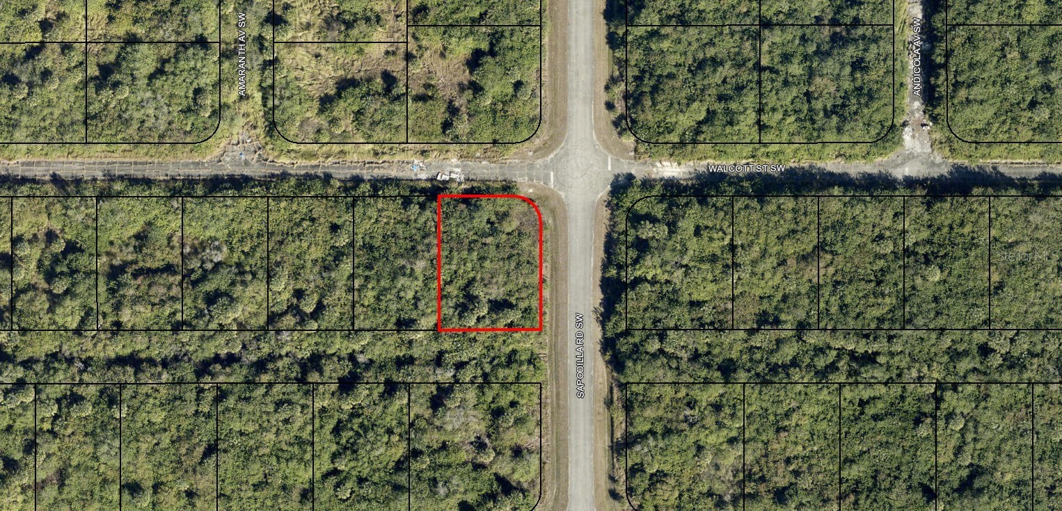 29-36-23-KV-02916 WALLCOTT STREET SW