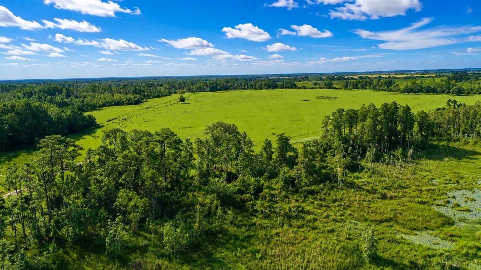 OLD POLK CITY ROAD