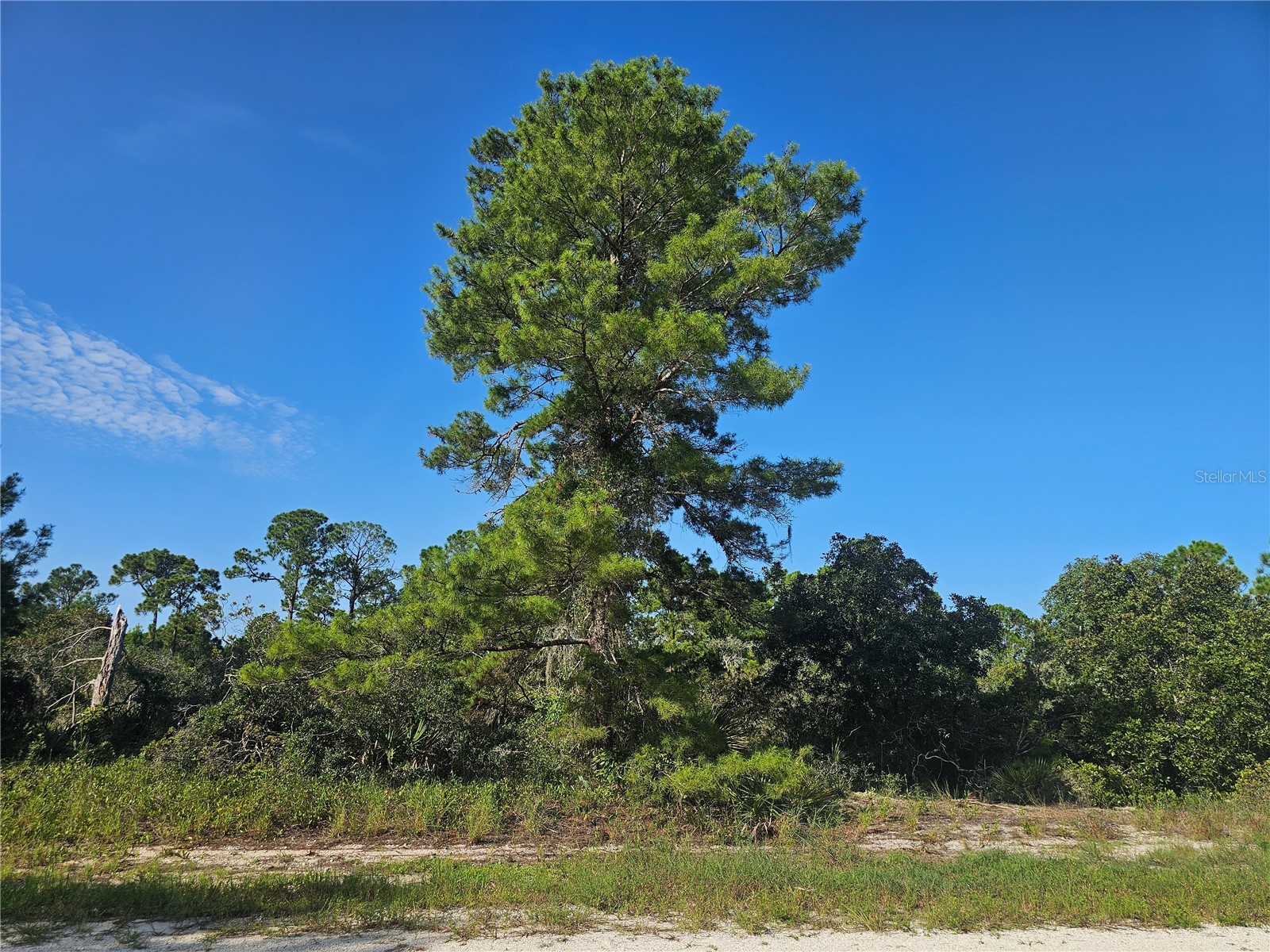 476 LAKE HELEN DRIVE